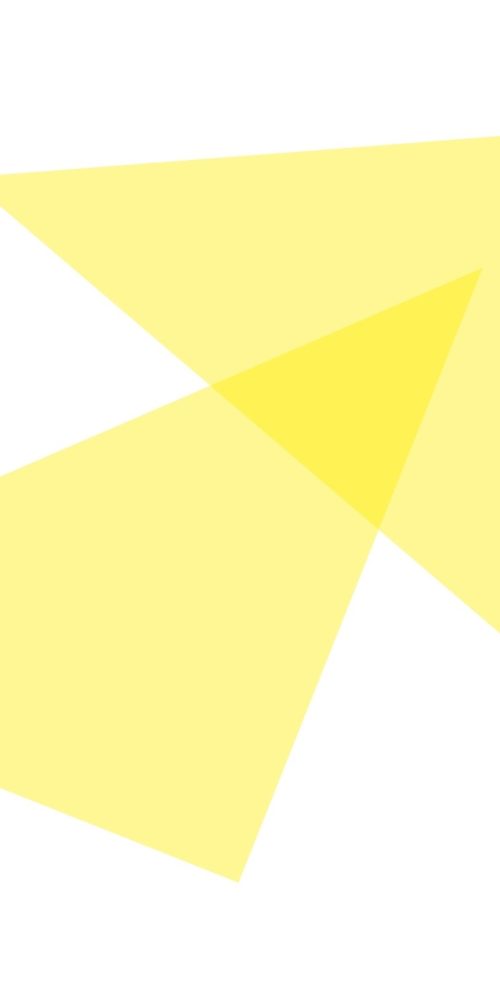 fond charte graphique triangle jaune Vent de Liberté