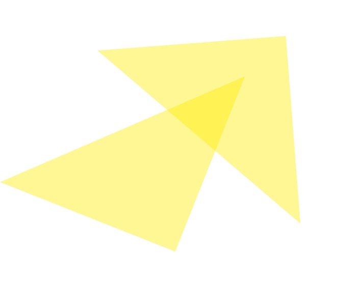 fond charte graphique triangle jaune Vent de Liberté