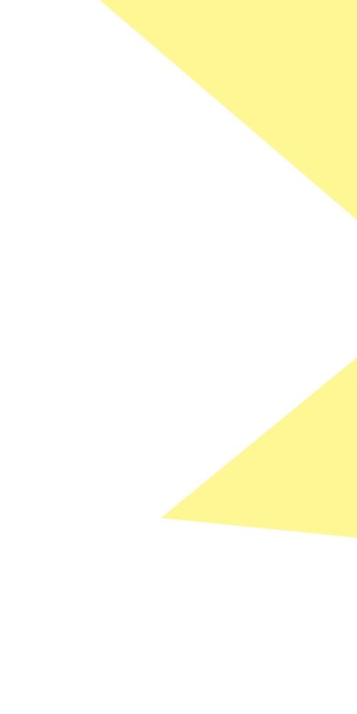 fond charte graphique vent de liberté triangle jaune